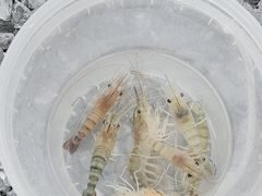 -DGE季风钓虾营地·团建·聚会