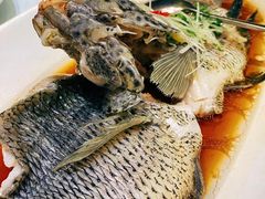 -骏莱海鲜鱼港(五角场店)