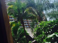 三亚湾红树林度假世界-三亚湾红树林度假世界(木棉酒店)