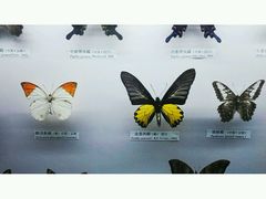 -吉林省自然博物馆