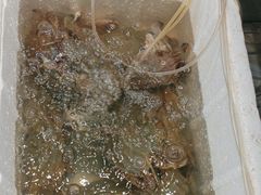 -健跳小海鲜(人民路店)