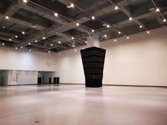 -三亚湾红树林国际会展中心(演出售票)