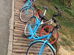 -白鹭湾湿地公园