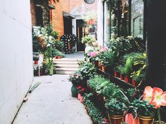 -% Arabica阿拉比卡咖啡(武康路店)