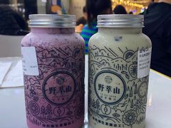 -野萃山·潮汕厚果汁(十亩地店)