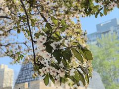 -元大都城垣遗址公园