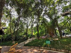 -成都市活水公园