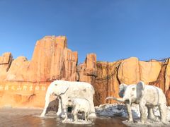 -新疆天山野生动物园