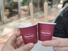 -哈根达斯(武汉天地店)