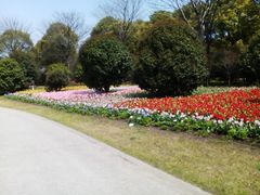 -上海鲜花港
