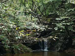 -青峰峡国家森林公园