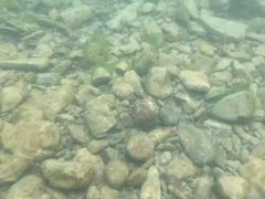 -千岛湖王子谷漂流