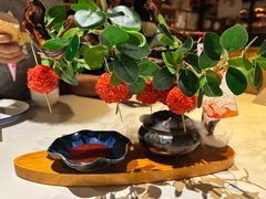 -唐猫庭院·千年陕菜(大唐不夜城店)