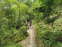 -莫干山风景区