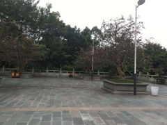 景点-水濂山森林公园