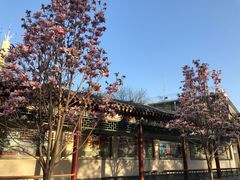 -丰台花园