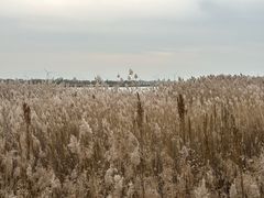 -野鸭湖国家湿地公园