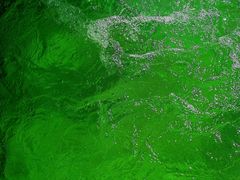 -春晖园度假酒店温泉