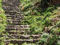 -鲁山国家森林公园