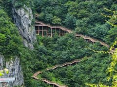 -秦岭天竺山景区