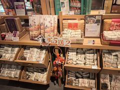 -长春堂顺时而饮(前门店)