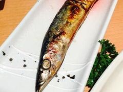 -春草居酒屋·晴子の店