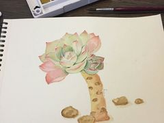 -八哥美术·成人美术画室(总校区)