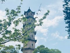 -江心屿景区