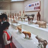 深圳游玩｜游人少且好逛的深圳古代艺术馆