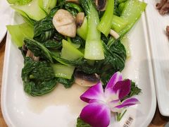 白灼菜心-品回味清真西北楼(宁波首店)