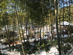 -江南天池高山汤泉城
