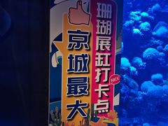 -太平洋海底世界