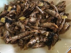 -幽优农庄·森波拉特色本地农家菜