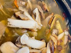 -蘑统田下·野生菌火锅