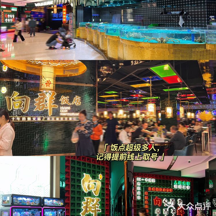 《关于我一周吃三次的广州粤菜》巨香不踩雷!