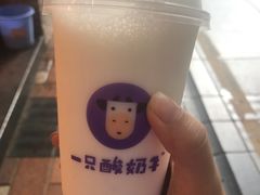 -一只酸奶牛(八一路店)