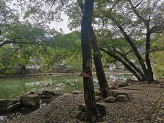 -鹿亭中村