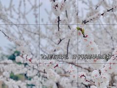 -老即墨路901炸串(台东商业步行街百年国际金街店)