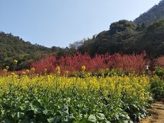 -广州市石门国家森林公园