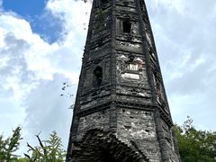 -上海佘山国家森林公园天马山园