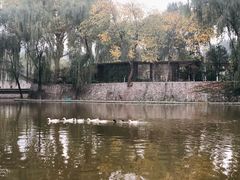 -西安市长乐公园