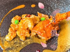 -月龍吟(朝龙汇店)