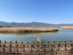 -野鸭湖国家湿地公园