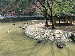 -黔灵山公园