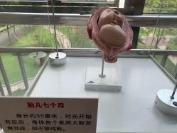 -重庆市妇幼保健院(冉家坝院区)