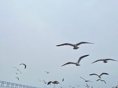 -星海广场