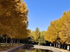 -玲珑塔公园