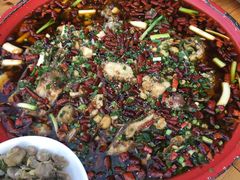 -东吴霸王兔(松青路店)