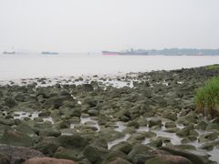 -上海吴淞炮台湾国家湿地公园
