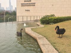 -行者书屋大堂吧 ·下午茶(南京圣和府邸酒店)